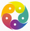 DMS logo